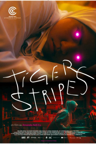 دانلود فیلم راه‌راهِ ببری Tiger Stripes 2023