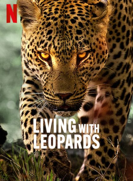 دانلود مستند زندگی با پلنگ ها Living with Leopards 2024
